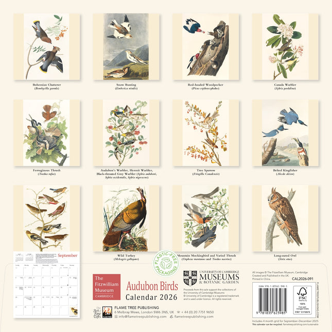 Flame Tree Audubon Birds Kalender 2026