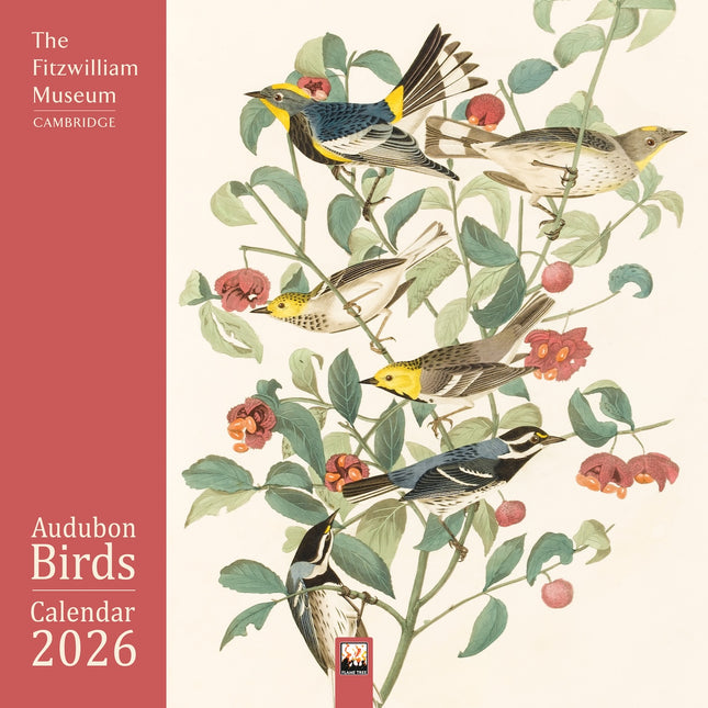 Flame Tree Audubon Birds Kalender 2026