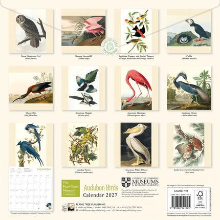 Flame Tree Audubon Birds Kalender 2027