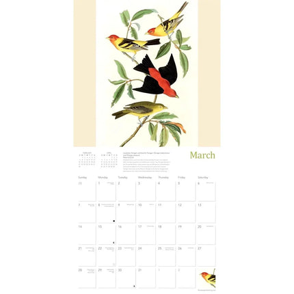 Flame Tree Audubon Birds Kalender 2027
