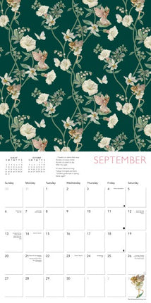 Flame Tree Flower Fairies Kalender 2026