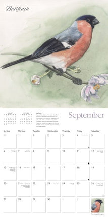 Flame Tree Garden Birds Kalender 2026