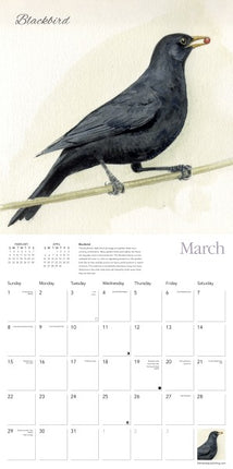 Flame Tree Garden Birds Kalender 2026