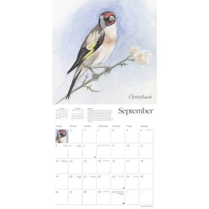 Flame Tree Garden Birds Kalender 2027