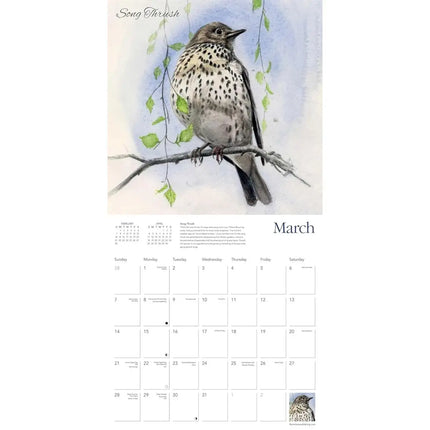 Flame Tree Garden Birds Kalender 2027