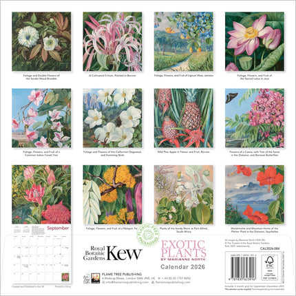 Flame Tree Kew Gardens: Exotic Plants Kalender 2026