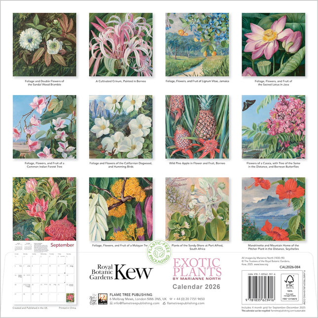 Flame Tree Kew Gardens: Exotic Plants Kalender 2026
