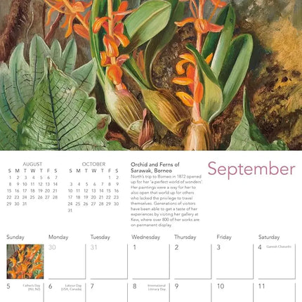 Flame Tree Kew Gardens: Orchids Kalender 2027 Mini