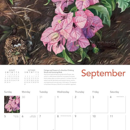Flame Tree KEW Tropical Plants Kalender 2027