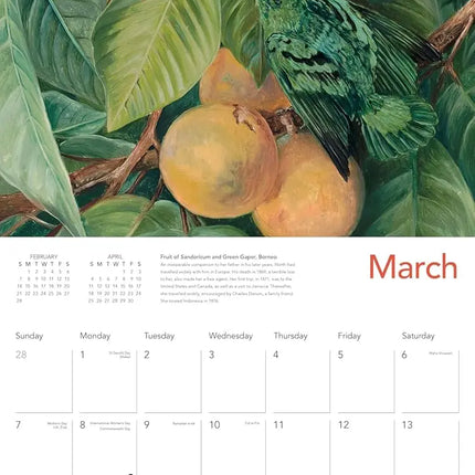Flame Tree KEW Tropical Plants Kalender 2027