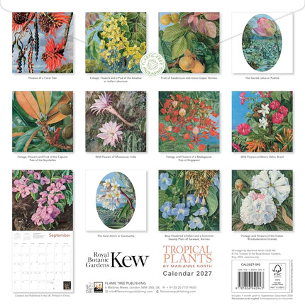 Flame Tree KEW Tropical Plants Kalender 2027