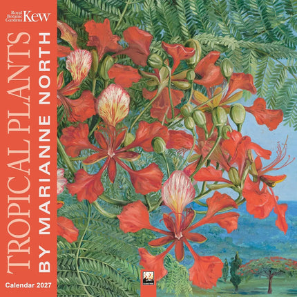 Flame Tree KEW Tropical Plants Kalender 2027