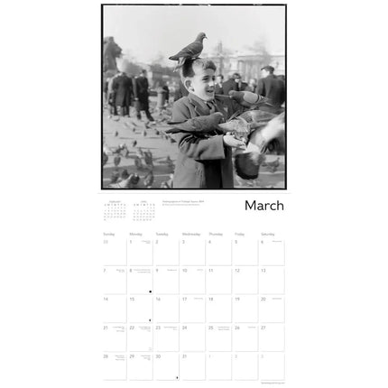 Flame Tree London Museum Kalender 2027