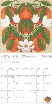 Flame Tree Nina Pace Kalender 2027 Mini