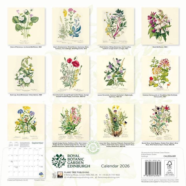 Flame Tree Royal Botanic Garden Kalender 2026