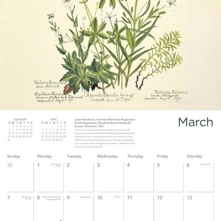 Flame Tree Royal Botanic Garden Kalender 2027