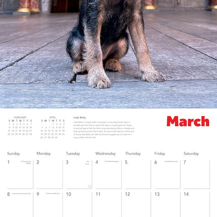 Flame Tree Shakespeare's Globe: Dogs in Ruffs Kalender 2026
