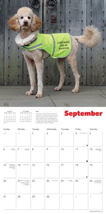 Flame Tree Shakespeare's Globe: Dogs in Ruffs Kalender 2026