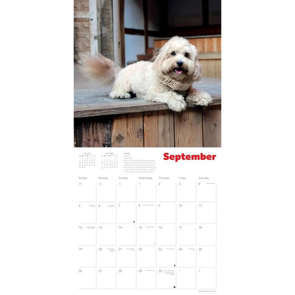 Flame Tree Shakespeare's Globe: Dogs in Ruffs Kalender 2027