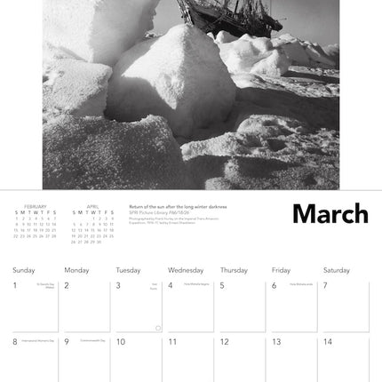 Flame Tree The Polar Museum Kalender 2026