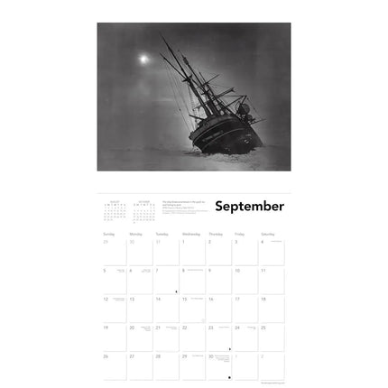 Flame Tree The Polar Museum Kalender 2027