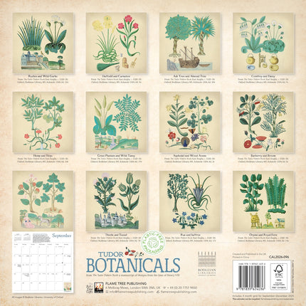 Flame Tree Tudor Botanicals Kalender 2026