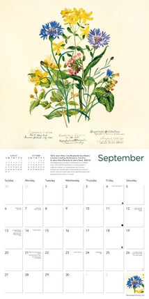 Flame Tree Tudor Botanicals Kalender 2026