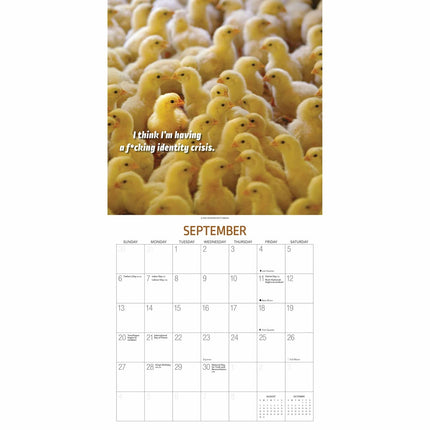 Gladstone Media Extremely Fowl Kalender 2026