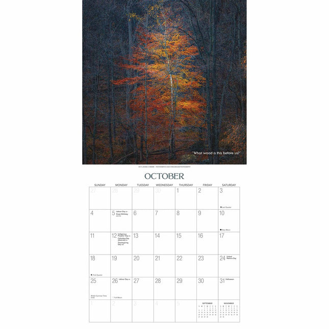 Gladstone Media Heksenbos Kalender 2026