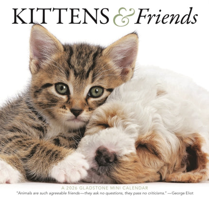Gladstone Media Kittens en Vrienden Kalender 2026 Mini