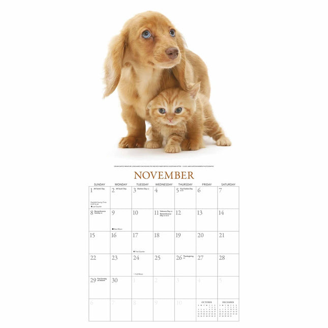 Gladstone Media Puppies en Vrienden Kalender 2026