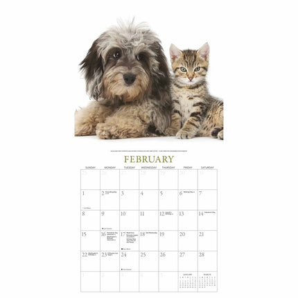 Gladstone Media Puppies en Vrienden Kalender 2026