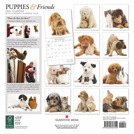 Gladstone Media Puppies en Vrienden Kalender 2026