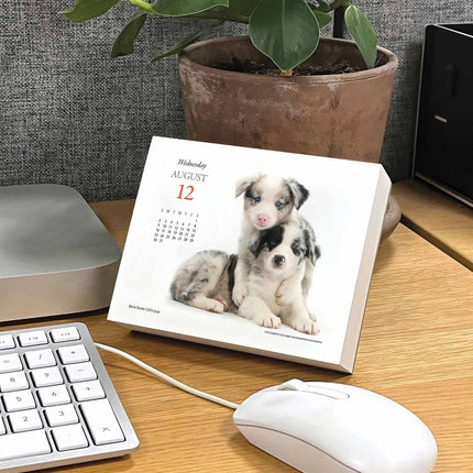 Gladstone Media Puppies en Vrienden Scheurkalender 2026 Boxed