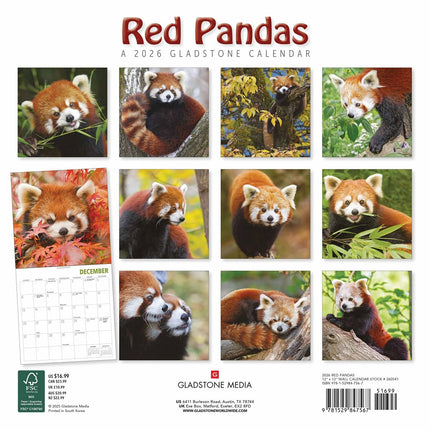 Gladstone Media Rode Panda Kalender 2026