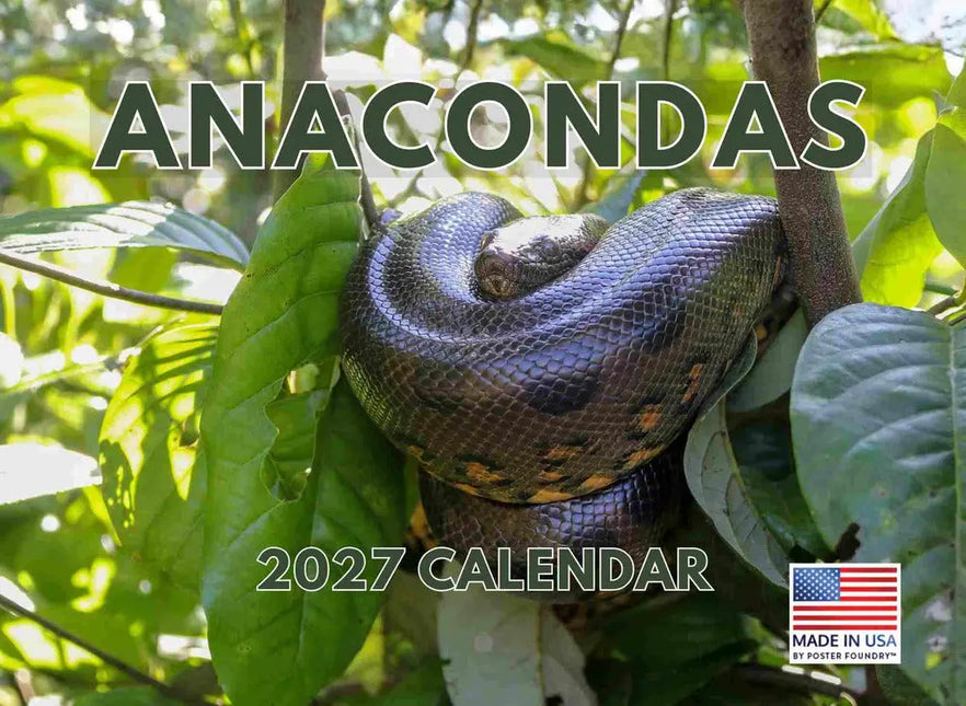 Gotham Anaconda Kalender 2027