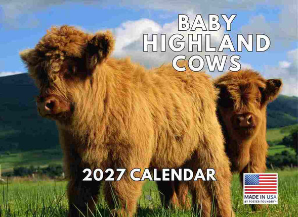 Gotham Baby Schotse Hooglander Kalender 2027