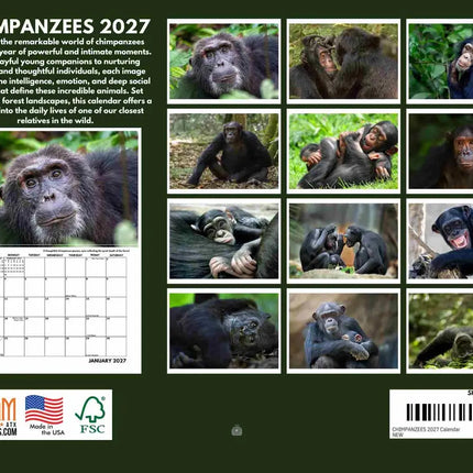 Gotham Chimpansee Kalender 2027