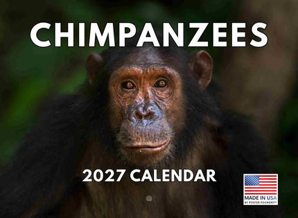 Gotham Chimpansee Kalender 2027