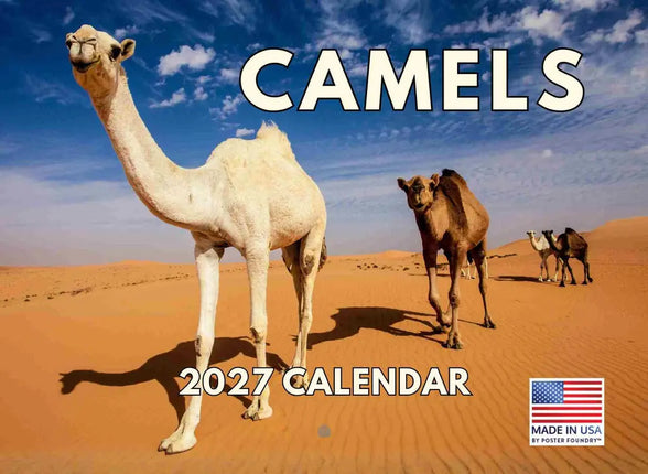 Gotham Kameel Kalender 2027
