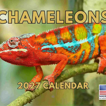 Gotham Kameleon Kalender 2027