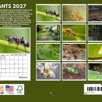 Gotham Mieren Kalender 2027