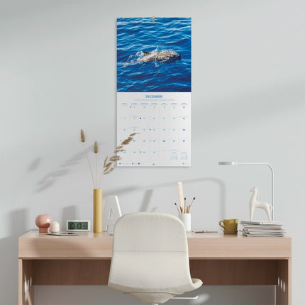 Grupo Dolfijnen Kalender 2026