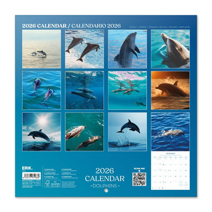 Grupo Dolfijnen Kalender 2026