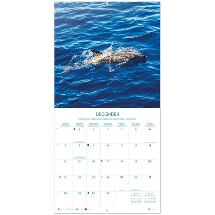 Grupo Dolfijnen Kalender 2026
