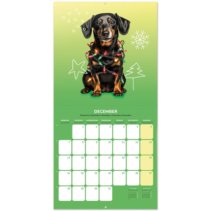 Grupo Honden Kalender 2026