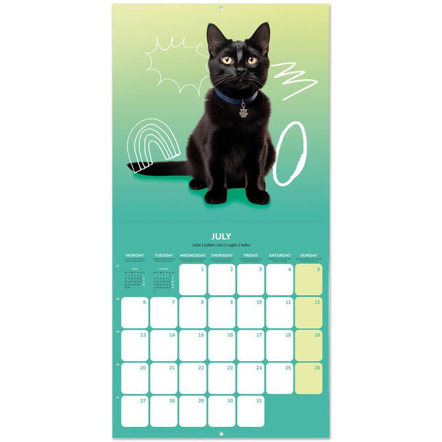 Grupo Katten Kalender 2026