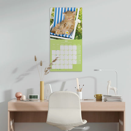 Grupo Kittens Kalender 2027