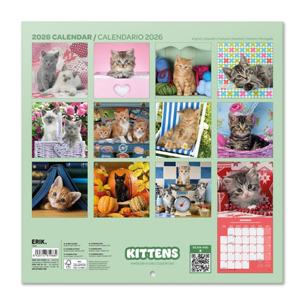 Grupo Kittens Kalender 2027