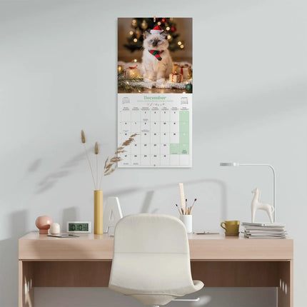 Grupo Kittens Kalender 2027